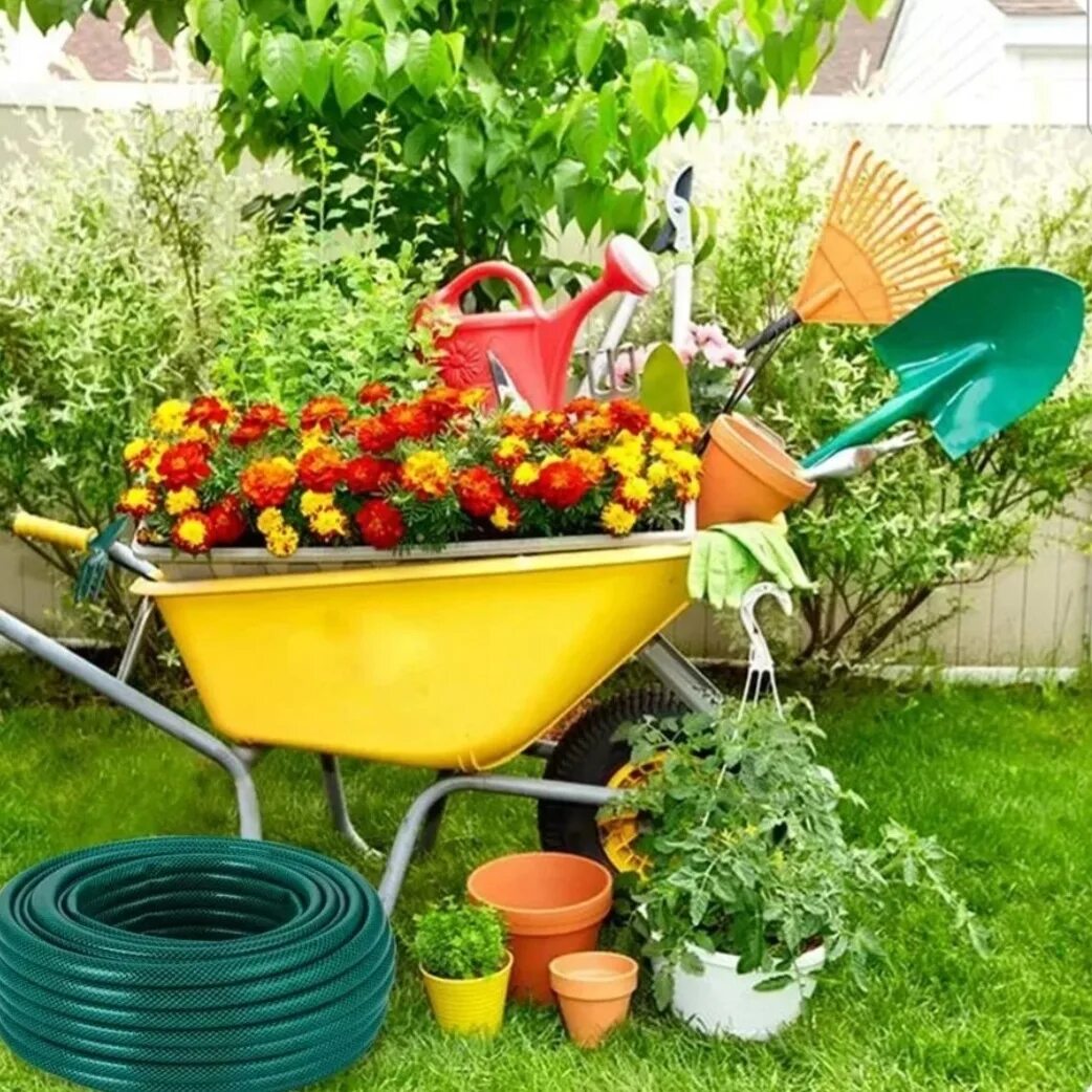 Логотип Дача 🏠 сад 👨🌾 Огород🌶 - Чат в MAX