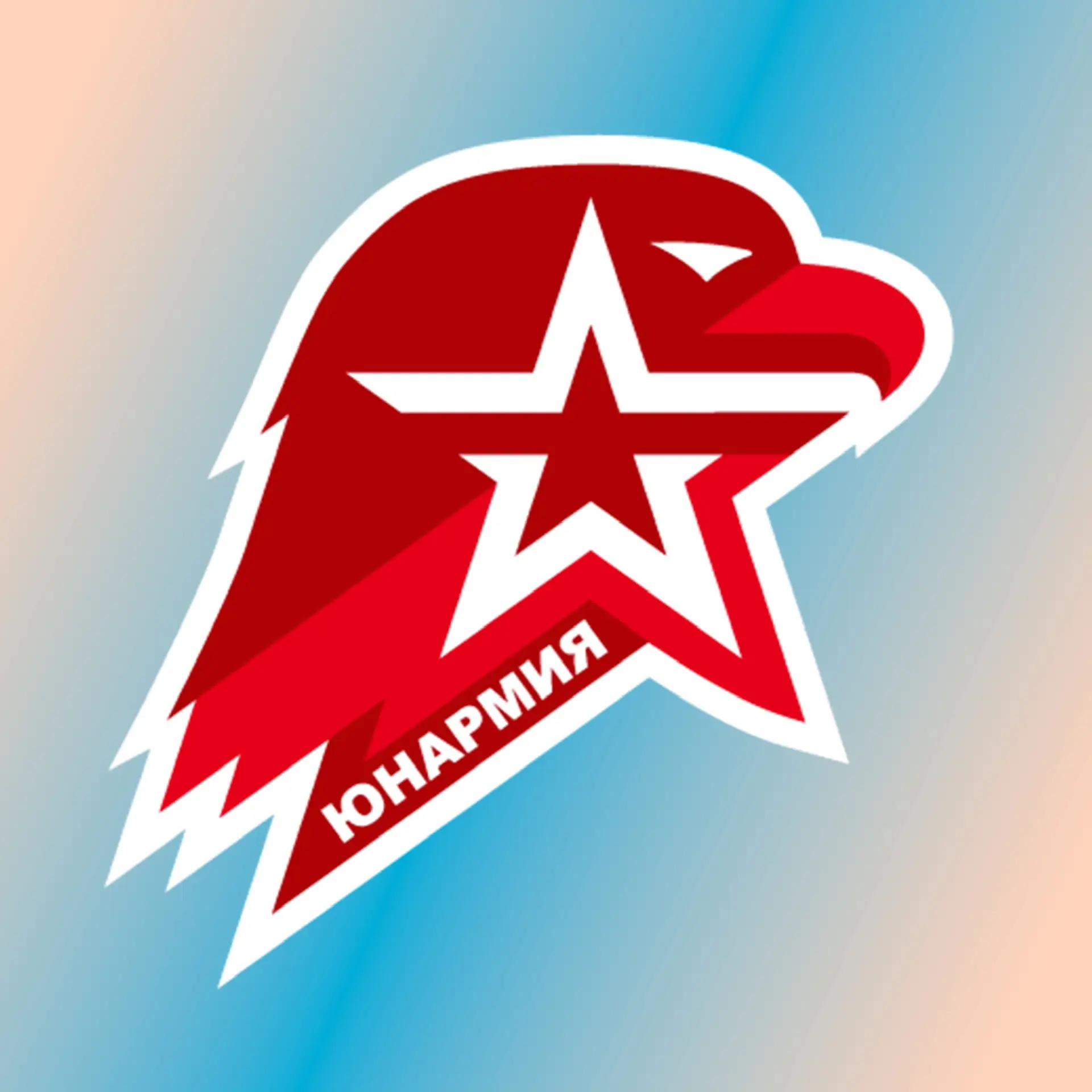 Иконка ЮНАРМИЯ