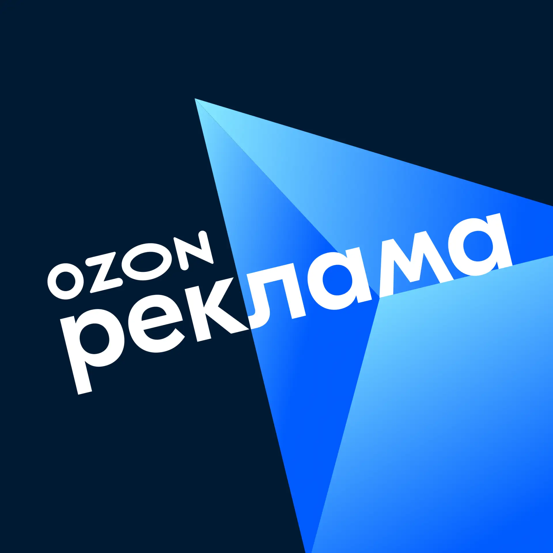 Иконка Ozon Реклама