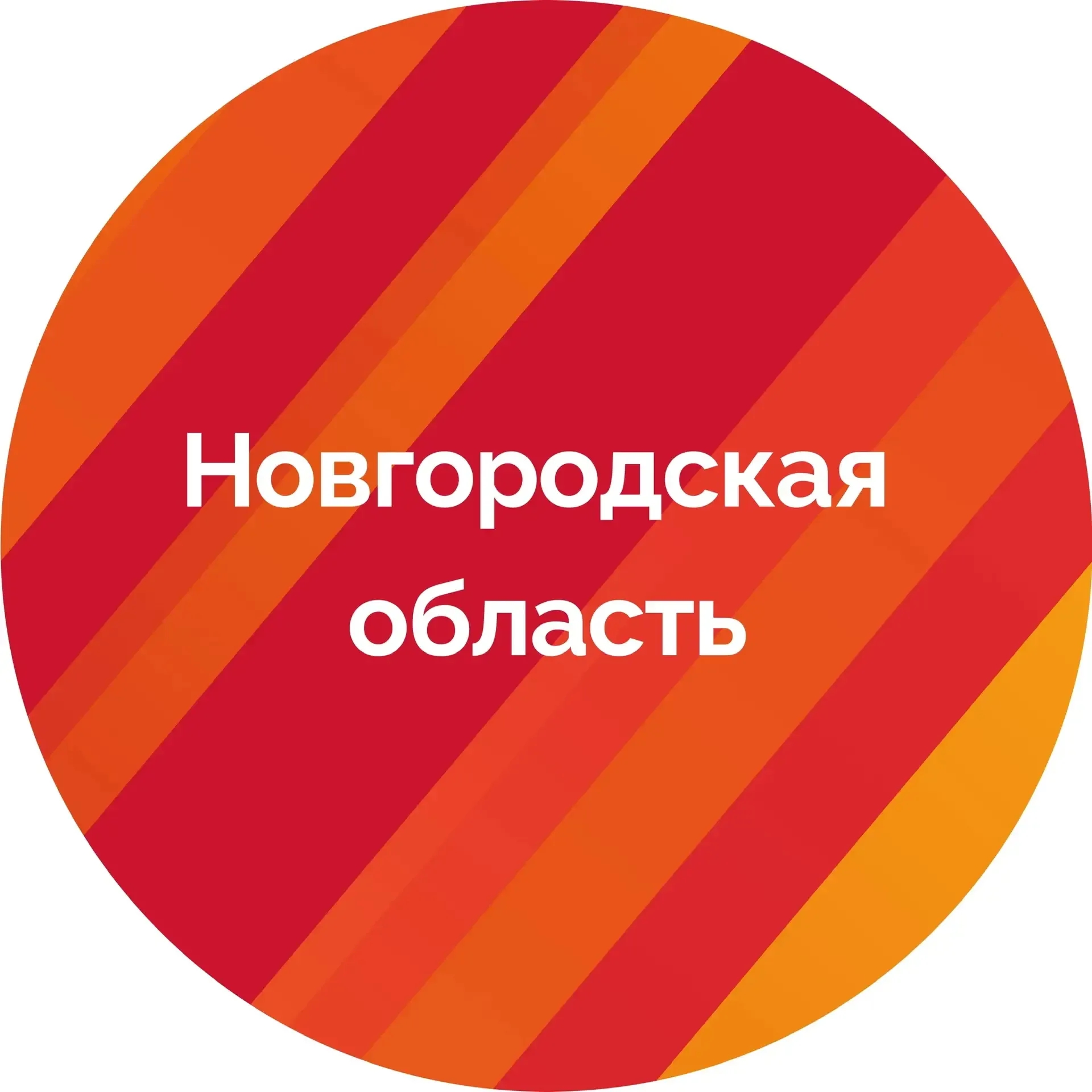 Логотип Правительство Новгородской области - Канал в MAX
