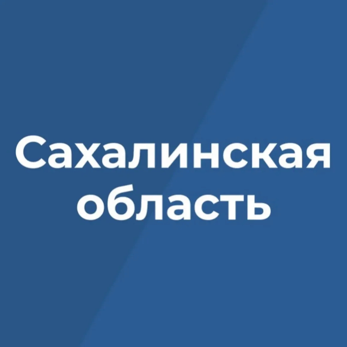 Логотип Правительство Сахалинской области - Канал в MAX