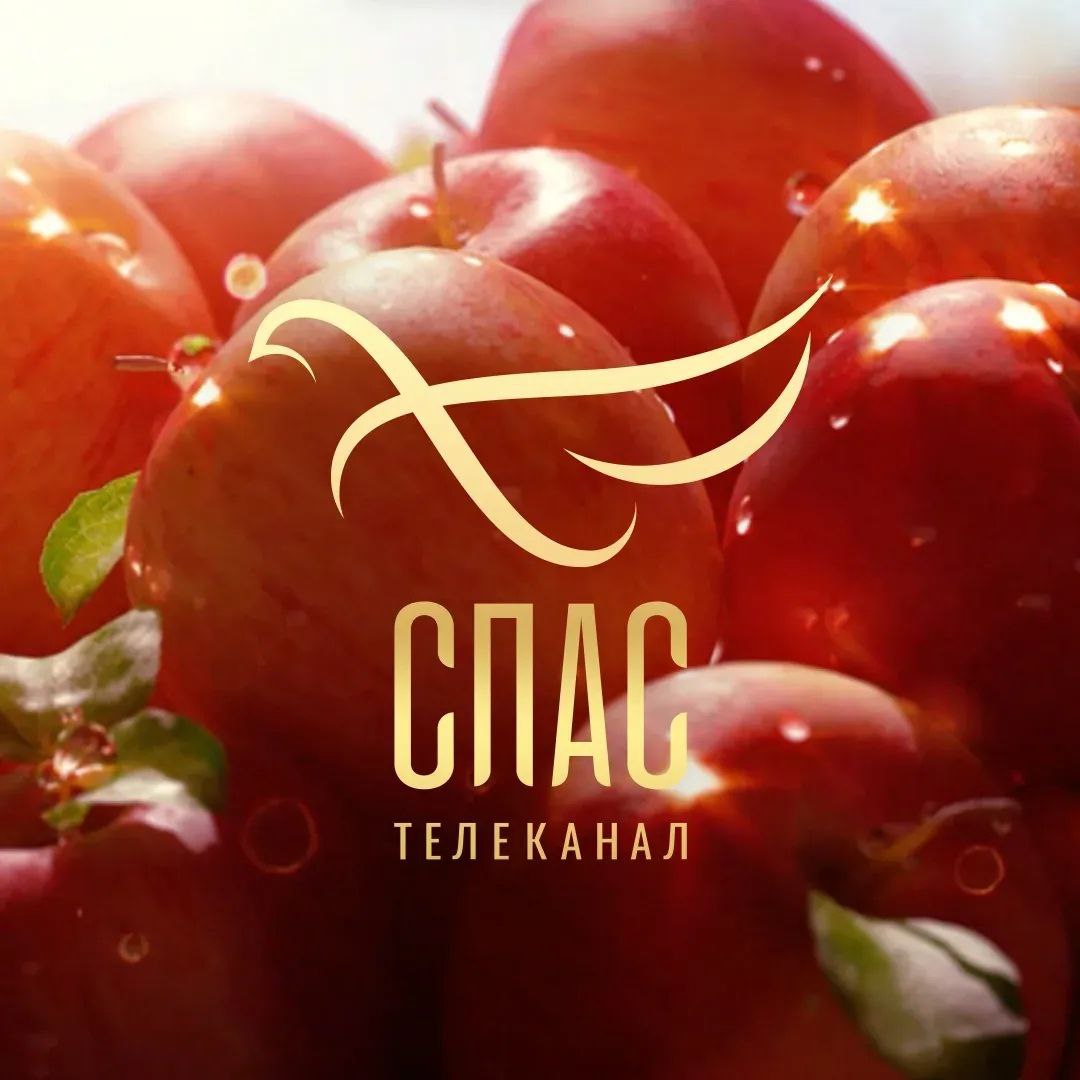 Логотип Телеканал СПАС - Канал в MAX