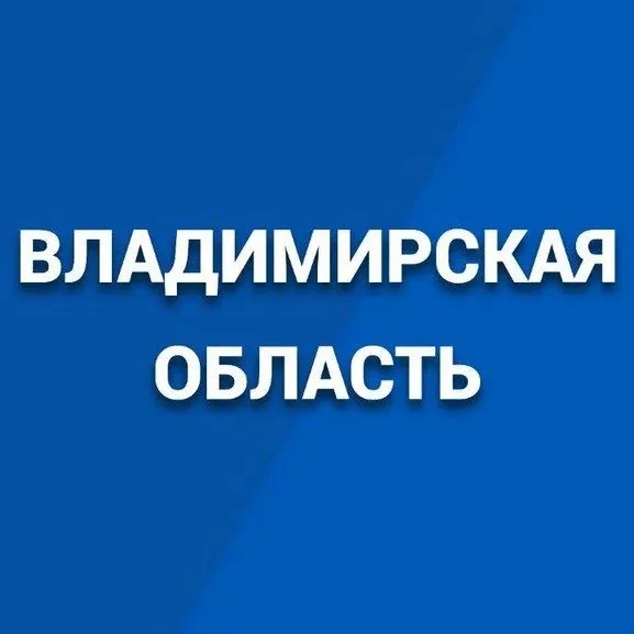 Логотип Владимирская область - Канал в MAX